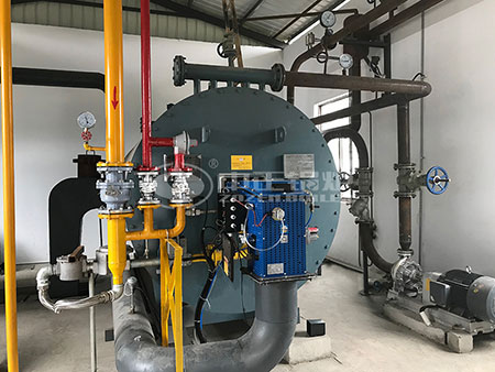 燒生物質顆粒的鍋爐