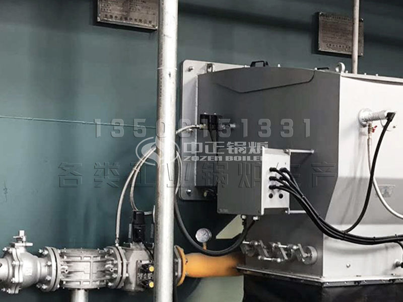 30t天然氣鍋爐多錢